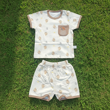 Baby Dino Outfit Set