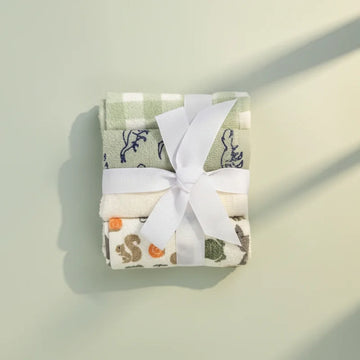 Bebe Favour Woodland Baby Washcloth Set 4 Piece - Squirrel Rabbit Frog Gingham
