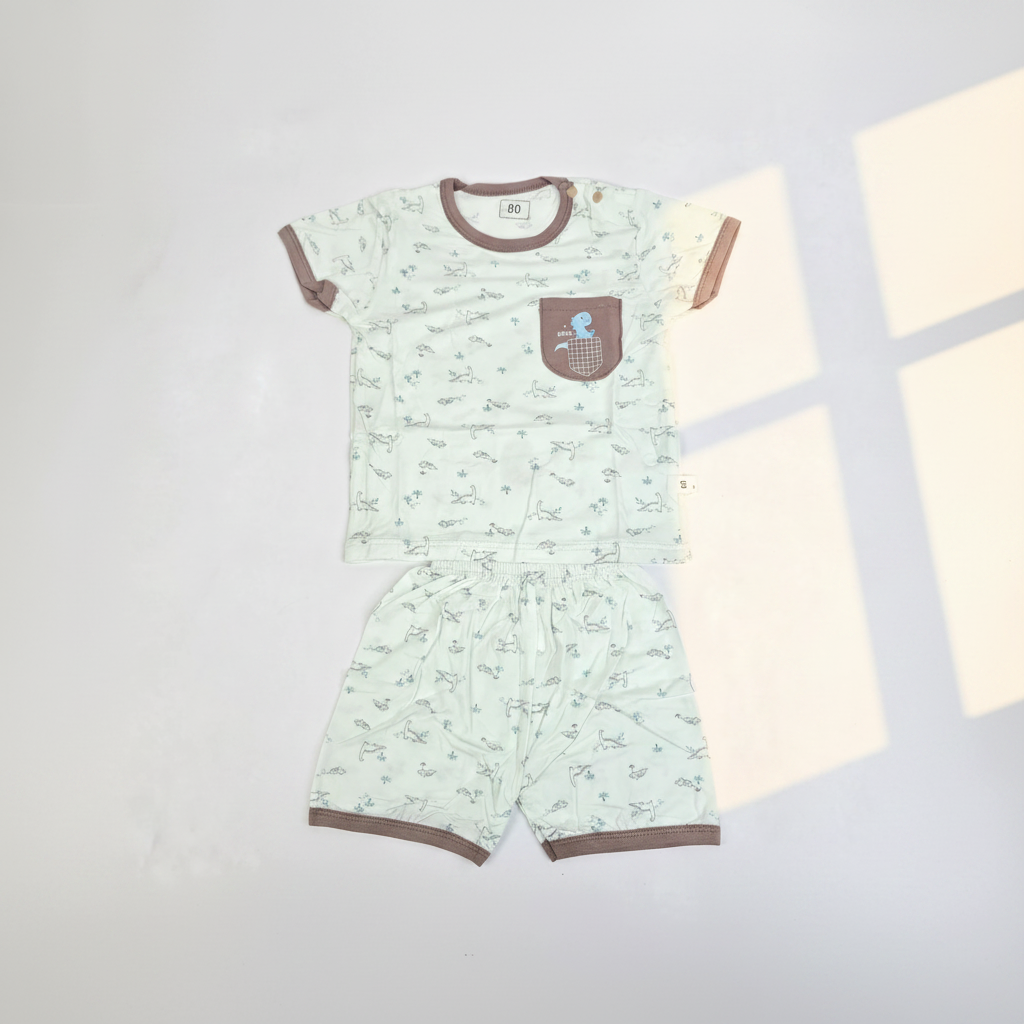 Smiles Dino Print Baby Boy T-Shirt Shorts Set - premium studio scene flat lay light grey background with natural window light shadow showing full set
