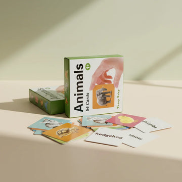 Teeny Baby Animals flash cards 54 card set in green gift box studio scene showing photographic tortoise kitten chick and hedgehog image cards and white animal name word cards fanned out beside green Teeny Baby Animals box on warm beige background